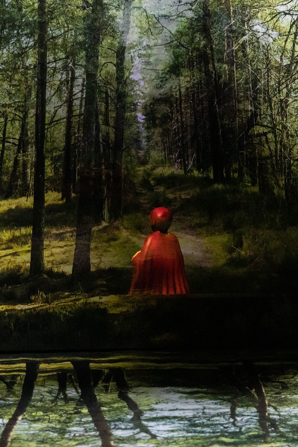 LE PETIT CHAPERON ROUGE