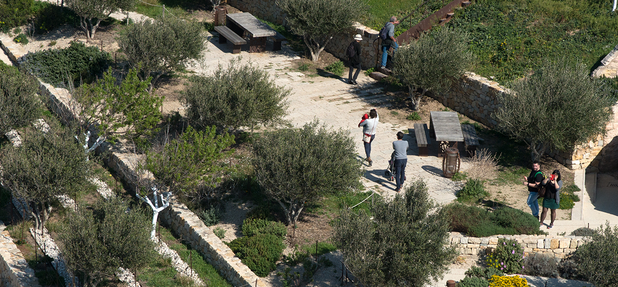 LE JARDIN DES MIGRATIONS